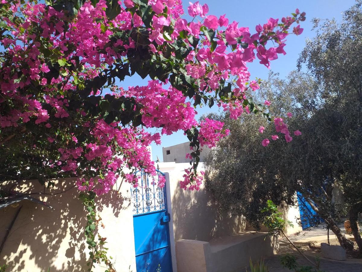 Dar Janis Djerba دار يانيس جربة Daire Houmt Souk  Oda fotoğraf