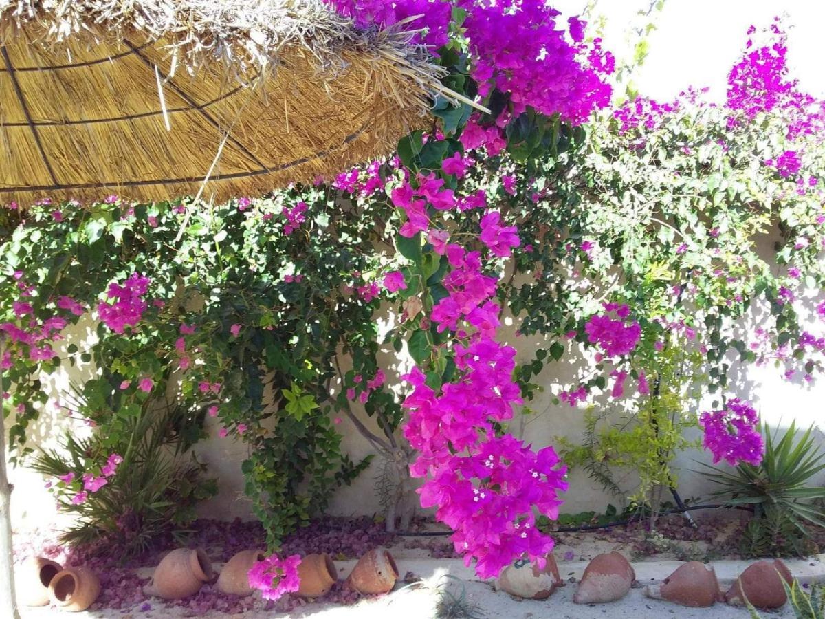 Dar Janis Djerba دار يانيس جربة Daire Houmt Souk  Oda fotoğraf
